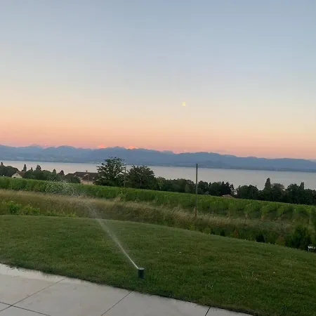 Avec Piscine Chauffee Et 5 Min Lägenhet *