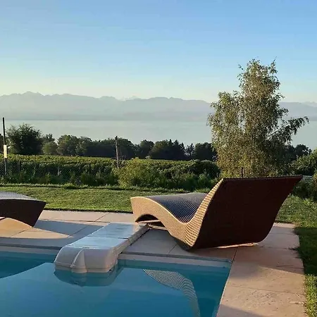 Avec Piscine Chauffee Et 5 Min Perroy