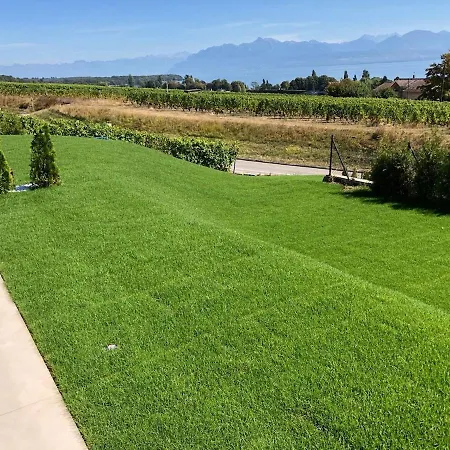 Avec Piscine Chauffee Et 5 Min Perroy