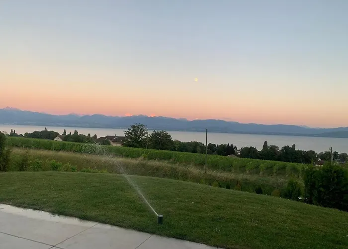 Avec Piscine Chauffee Et 5 Min Lägenhet *