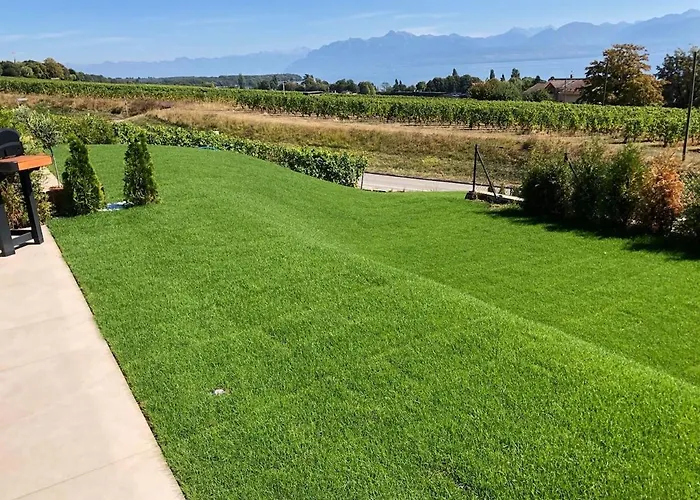 Avec Piscine Chauffee Et 5 Min Perroy
